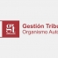 IBI 2015 Málaga. Período de pago voluntario